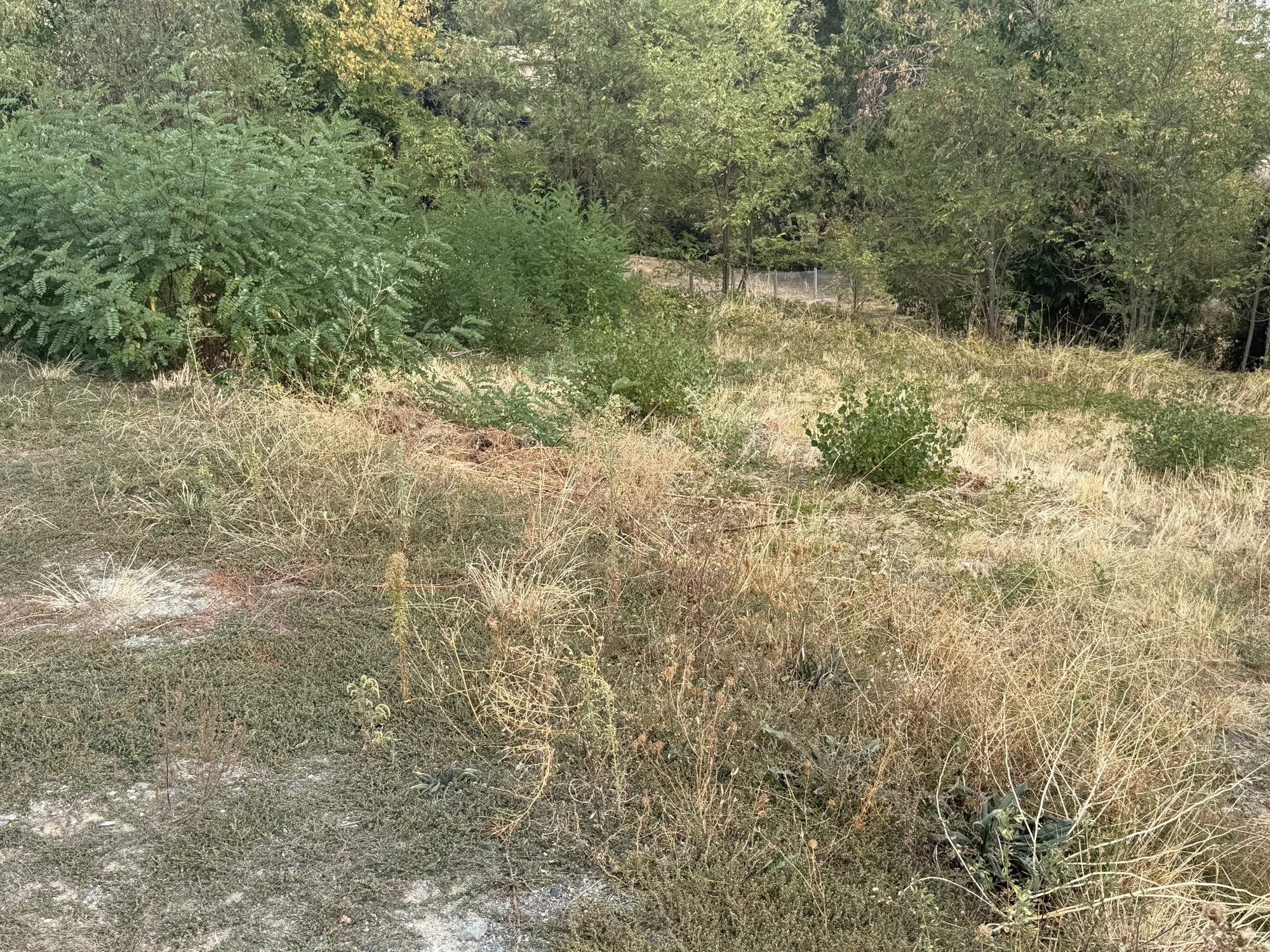 Terrain 645 m² Beaujeu