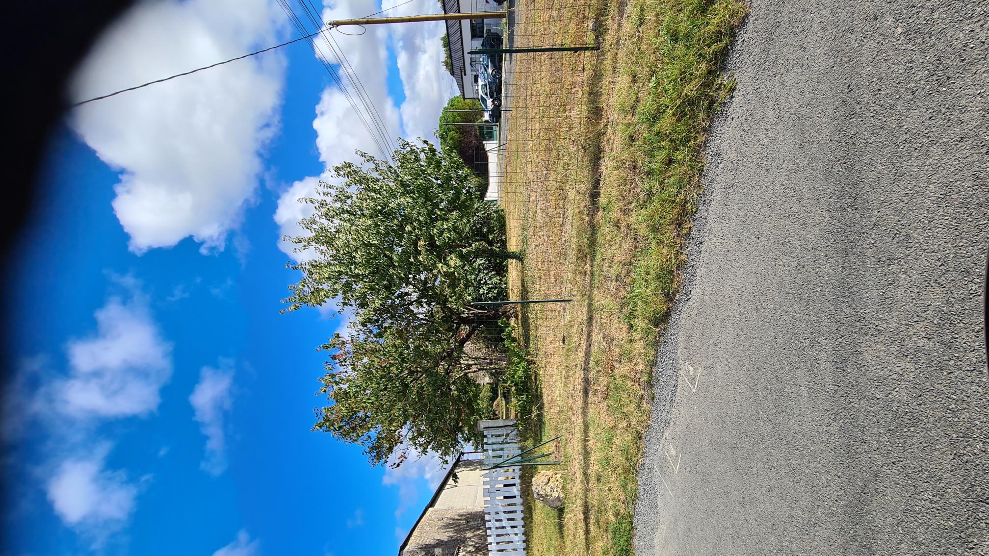 Terrain constructible de 750 m² à Saint-Sulpice-d'Arnoult - Prix total : 54 900 €
